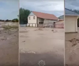 Стихийное бедствие в Алматинской области: село Бериктас пострадало от грязевого потока