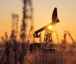 Пик спроса на нефть в 2025 году: Что ждет энергетический рынок?