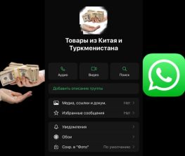 Алаяқ халықты WhatsApp желісі арқылы алдаған