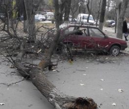 Павлодарда қатты дауылдан әйел қайтыс болды