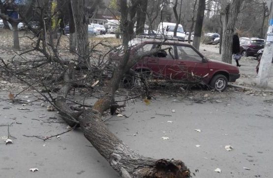 Павлодарда қатты дауылдан әйел қайтыс болды