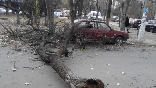 Павлодарда қатты дауылдан әйел қайтыс болды