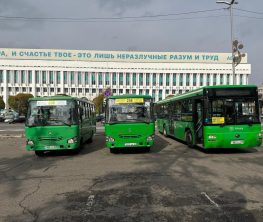 Сергек. Автобустарға айыппұл негізсіз салынған