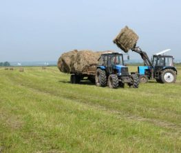 В ходе уборочной кампании в ЗКО собрано почти 300 тысяч тонн зерна