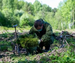 Орман қоры мақсатсыз пайдаланылған