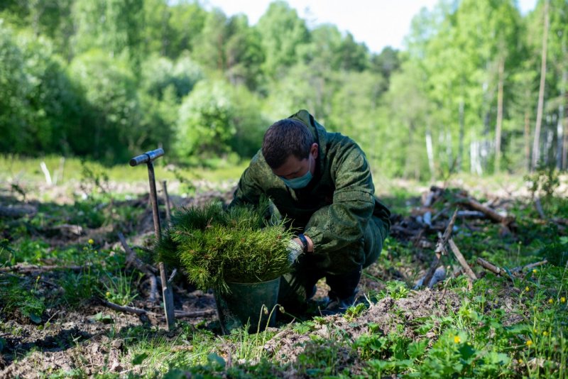 Орман қоры мақсатсыз пайдаланылған