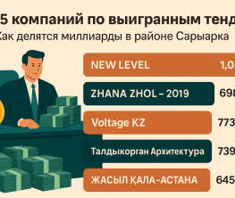 Кто выигрывает миллиарды на тендерах района "Сарыарка" в Астане