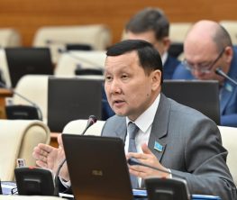 Мемлекеттік тілдің мәртебесін ұлтаралық тіл деп өзгерту - жалған сөз