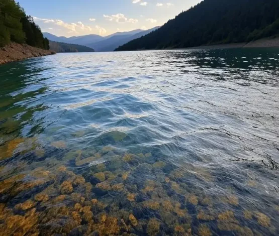Капшагайское водохранилище снова достигло полного наполнения