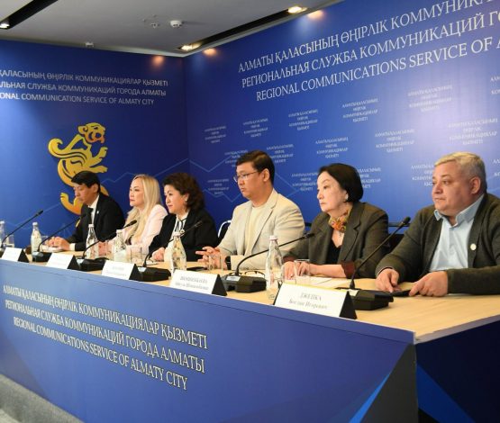 В Алматы выработали 240 решений для улучшения городской среды