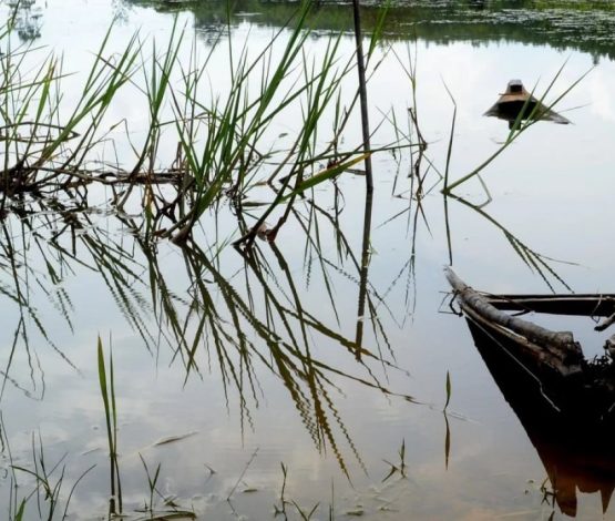 10 күннен бері іздеуде жүрген баланың денесі өзеннен табылды