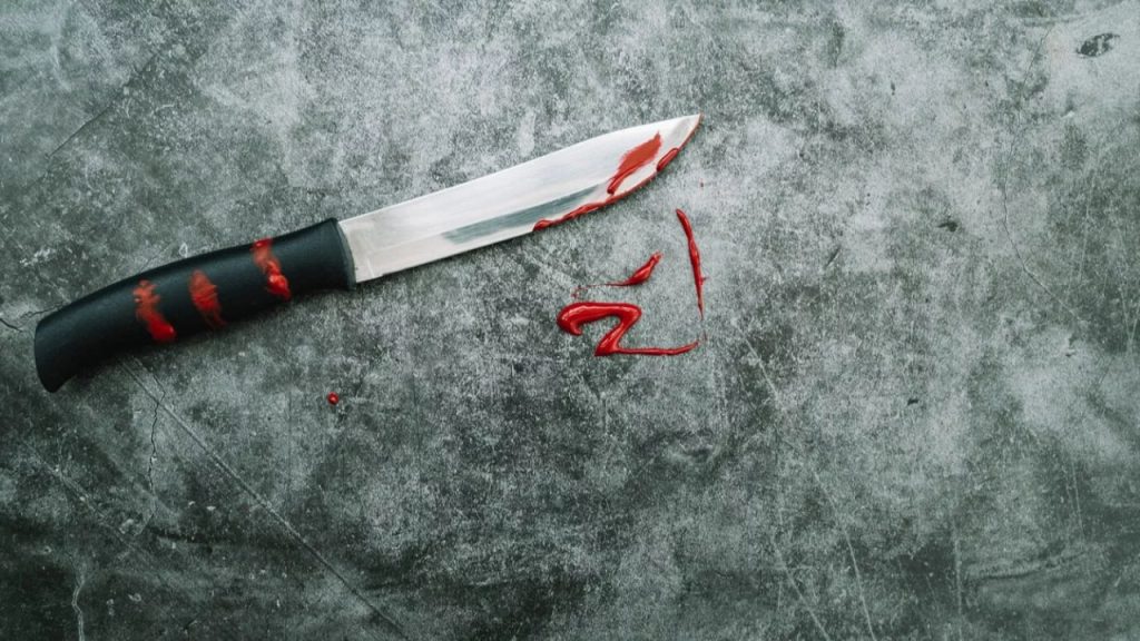 Талдықорғанда қонақ үй әкімшісін өлтіріп кетті