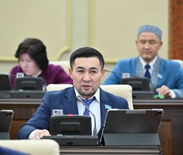 «Ажырасқандарға қосымша салық»: Сарапшы мәжілісмен ұсынысының астарынан не көріп отыр?