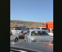 Жамбыл облысында өткен қызғалдақ фестивалі халықтың ашуын туғызды