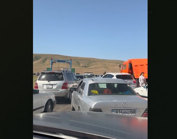 Жамбыл облысында өткен қызғалдақ фестивалі халықтың ашуын туғызды
