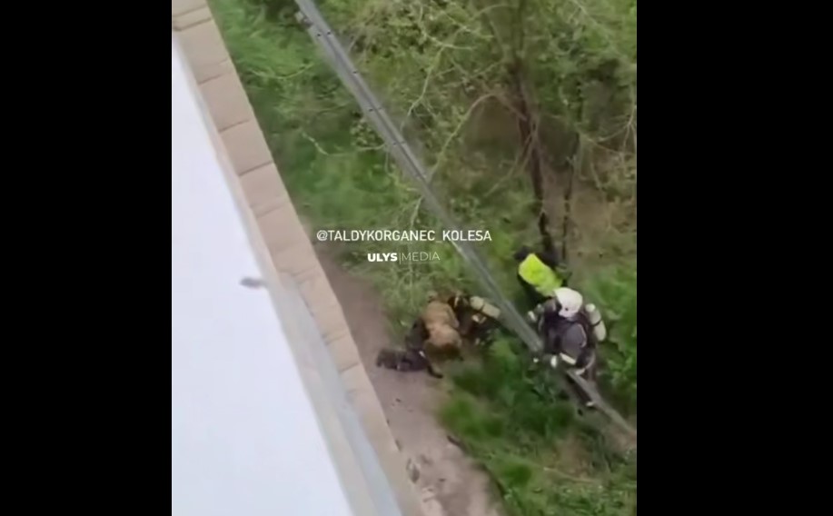 Техника қайда? Талдықорғанда өрт сөндіруші үшінші қабаттан құлап кетті