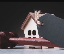 Петиция: Жемқорлардың туған-туыстарының да мүлкін тәркілейтін тетік керек