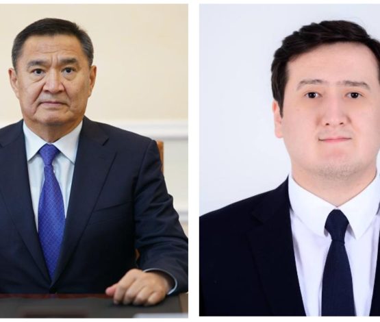 Кто заработал на «кибербезопасности» Акмолинской области?