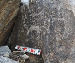 Археологическую сенсацию совершили ученые в Карагандинской области