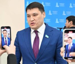 Руслан Берденов покинул пост после покушения