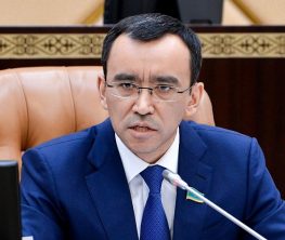 Күзде кезектен тыс Парламент сайлауы өте ме?