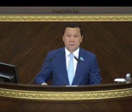 Мәжіліс депутаттары Конституцияның 30 жылдығына арналған амнистия туралы заң жобасын мақұлдады