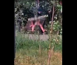 Алматыда көшедегі орындықта жыныстық қатынасқа түскен ер мен әйелді полиция әрең тоқтатты (Видео)