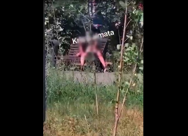 Алматыда көшедегі орындықта жыныстық қатынасқа түскен ер мен әйелді полиция әрең тоқтатты (Видео)