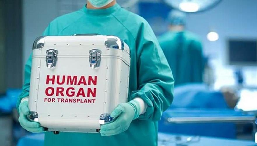 Бүйрегін сатпақ болған азамат сотталмайтын болды