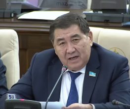 Ермұрат Бапи: Ескі де жаңа Қазақстан туралы қисынсыз мифтер